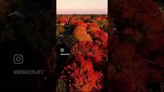 #dailyshorts #drone #djimini2 #modestoca