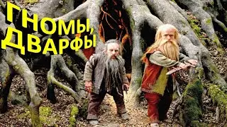 ГНОМЫ, ЦВЕРГИ, ДВАРФЫ, ДВОРФЫ в мифологии и фантастике