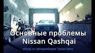 Основні проблеми Nissan Qashqai: огляд авторозбирання Тріал-Авто