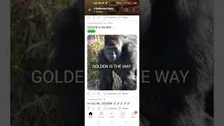 GOLDEN INU PROJECT