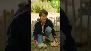 Orakel - Sammy die Schildkröte | Tiere bis unters Dach | SWR Plus #shorts