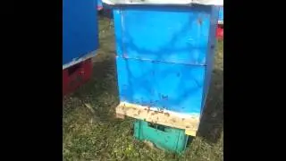 Bletet &