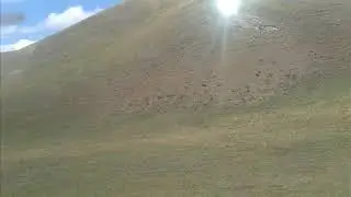 природа башкирии