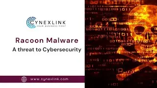Racoon Malware | A Threat To Cybersecurity