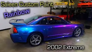 The Average Mustang Enthusiast Gets This Color Wrong