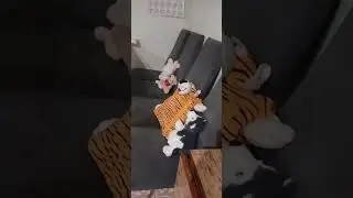 пять ночей с бродягами 2