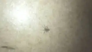 У нас появился новый житель 😐