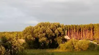 Вечерний пейзажик! Вечный вид из окна
