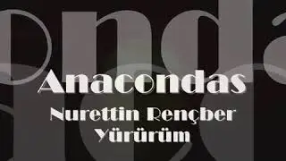 Nurettin Rençber - Yürürüm