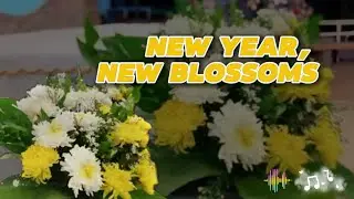Blossoms of Hope: Welcoming the New Year at St. Francis of Assisi Chapel