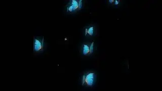 Blue Butterfly Background Overlay