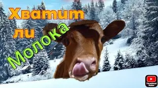#Кормление наших животных/#пополнение в хозяйстве