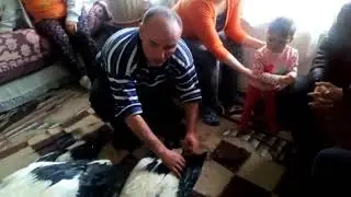 DONMAK ÜZERE OLAN LEYLEKLERİ KURTARAN ADAM..
