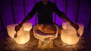 RESETTING YOUR VAGUS NERVE FOR SLEEP | Music for Calming Your Nervous System Before Bed