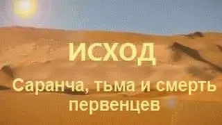 Саранча, тьма и смерть первенцев - Исход - Франсуа дюПлесси (8008)