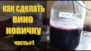 Домашнее вино из винограда Леон Мийо и Маршал Фош! / Как сделать вино? / ЧАСТЬ 1