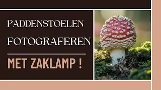 Fotografie vlog 23 | Paddenstoelen fotografie |