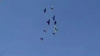 MAH00012 1
