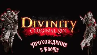 Divinity original sin : Прохождение CooP #15