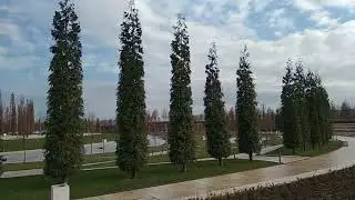 переезд в Краснодар парк Галицкого