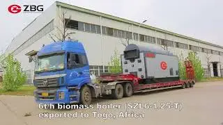 6 Tons Per Hour Biomass Fired Boiler Export to Togo