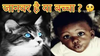 बिल्ली जैसी आंख | चीन | नोंग युहुई |