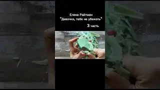 История не моя! #история #мыло #еленарайтман #capcut