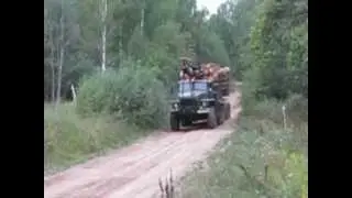 Урал-лесовоз