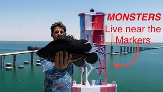 Marker MONSTERS!!! journey through the endless hot spots on the Tampa Bay shipping channel
