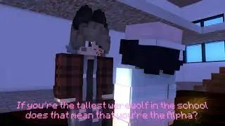 Acceptance (Minecraft animation)