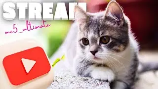 🔴 Стрим на котором мы посмотрим ВСЕ видосы не только про Arena Breakout