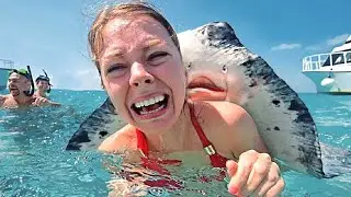 10 Friendliest Sea Creatures Around The World