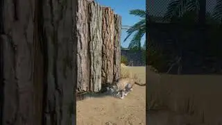 🐈 Sand Cat Barks | Planet Zoo Arid Animal Pack