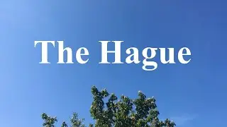 The Hague | Netherlands | Spring 2020