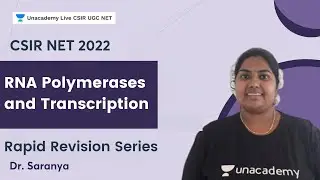 Rapid Revision Series | RNA Polymerases and Transcription | CSIR NET LIFESCIENCES | Saranya V