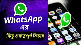 WhatsApp new update today | WhatsApp New Useful Feature 2024