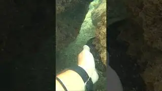 Discovering The Secrets Of Ocean Depths