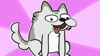 dont woof