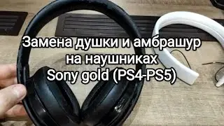 Замена душки и амбрашур  на наушниках Sony Gold (PS4 - PS5)