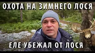 Такое не покажут по ТВ!!!!! Охота на зимнего лося