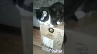 С НОВЫМ ГОДОМ ! 🎄