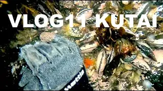 nz vlog mussel thai curry
