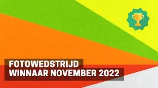 WINNAAR FOTOWEDSTRIJD - November 2022 Thema Lijnen