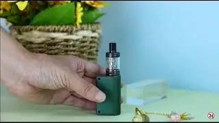 Introducing Eleaf mini iStick 2 - More than small