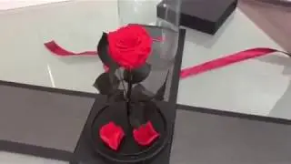 Красная роза в колбе 