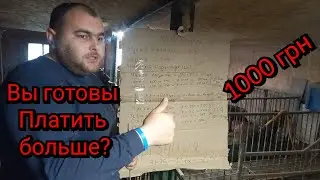 ⛔️Сколько нужно денег что бы выкормить 1 свинью до 120 кг❓️