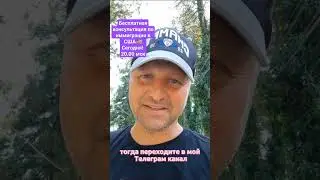 Бесплатная консультация по иммиграции в США🇺🇸