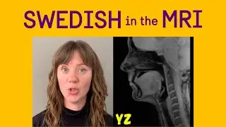 Swedish in the MRI - recording day