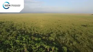 Bolivia: Barba Azul Reservaat - Dronebeelden