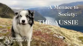THE AUSSIE: A Documentary, narrated by AI Sir David Attenborough
